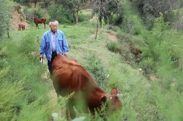 1618366117680542.jpg 3_副本.jpg